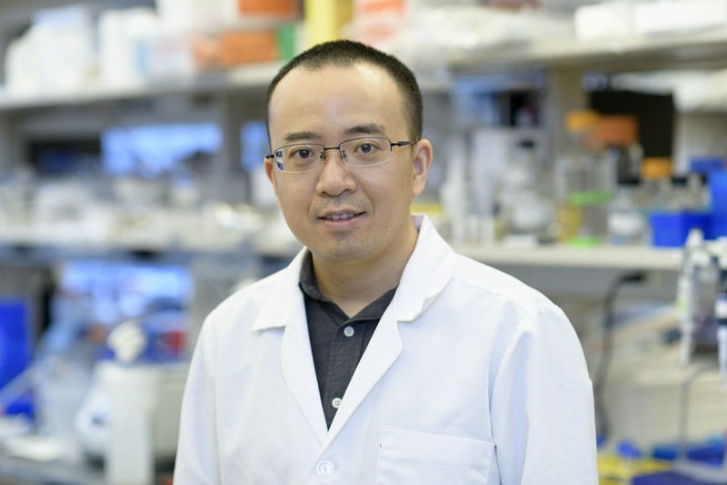 Dan Li, Research Fellow