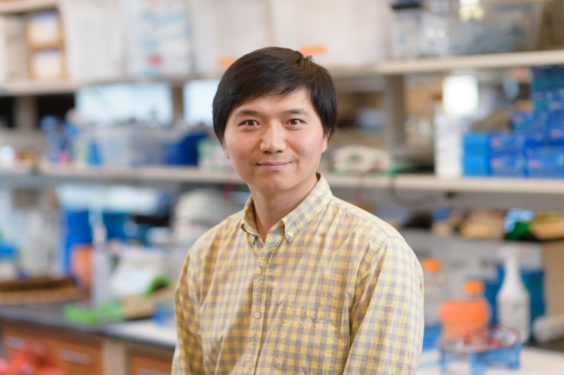 Bo Liu, Research Associate