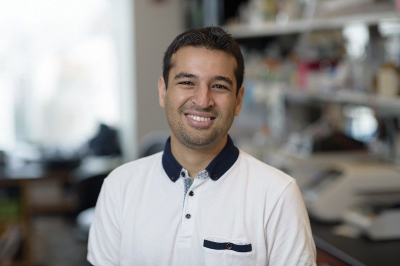 Sameer Farouk Sait, Hematology-oncology Fellows at MSKCC/Cornell