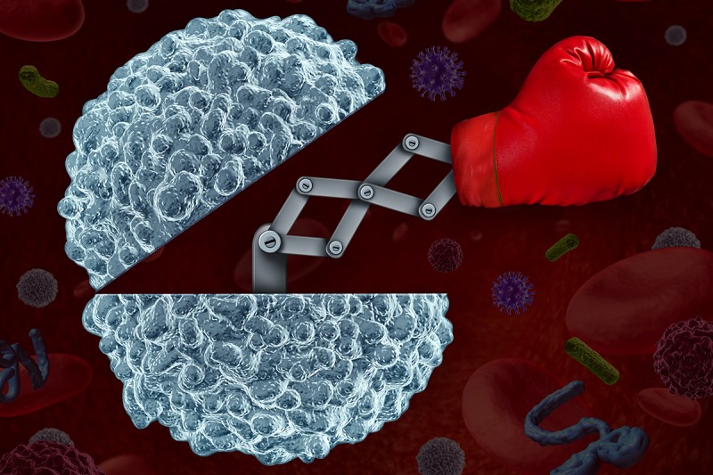 Illustration of immune cell opening as if on hinge and boxing glove coming out.