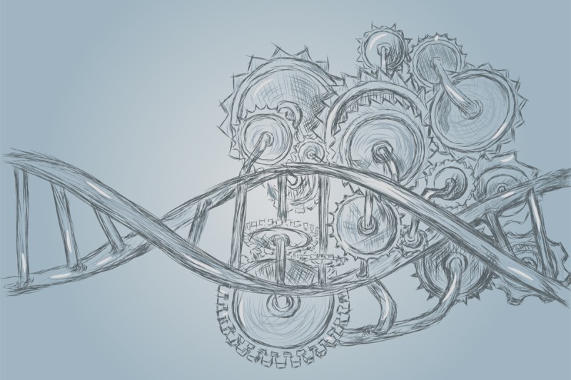 A drawing of a DNA molecule with enzymes.