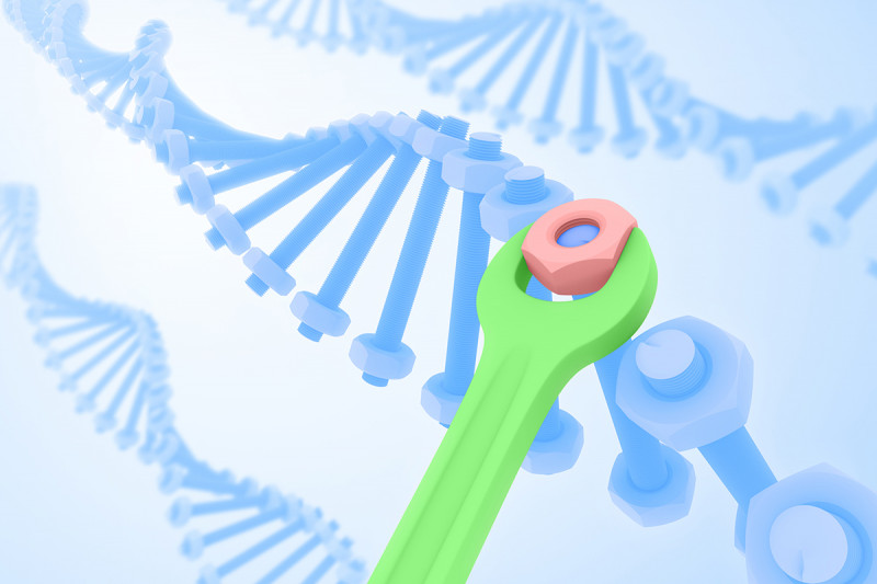 Illustration of DNA with green wrench making adjustments to a nut on the double helix.