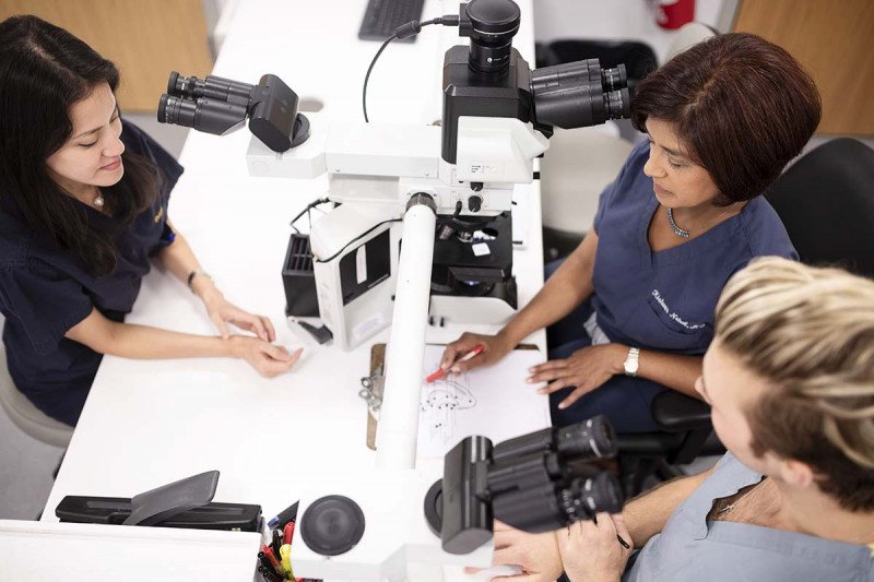 MSK skin cancer experts Erica Lee, Kishwer Nehal, and Anthony Rossi analyze a diagram on a clipboard.