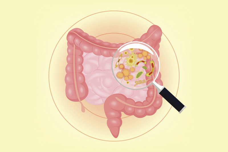 Illustration of intestinal tract with magnifying glass held over it revealing various microbes.