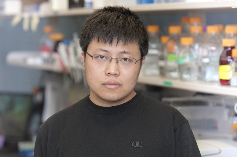 Qingfei Zheng, Research Fellow