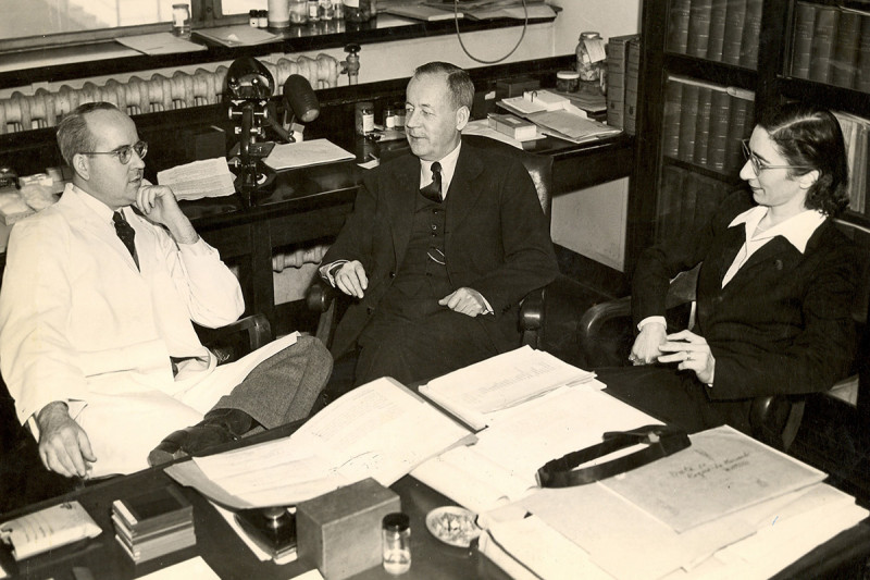 Three people sitting around a table