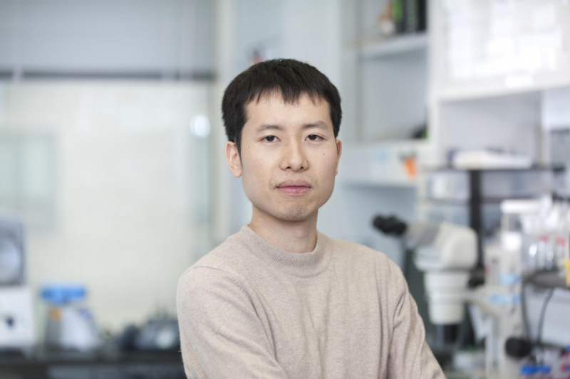 Yichi Xu, PhD