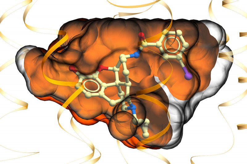 MP1104 binding to the kappa opioid receptor