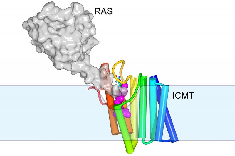 A gray blob marked RAS linked to colorful rods marked ICMT