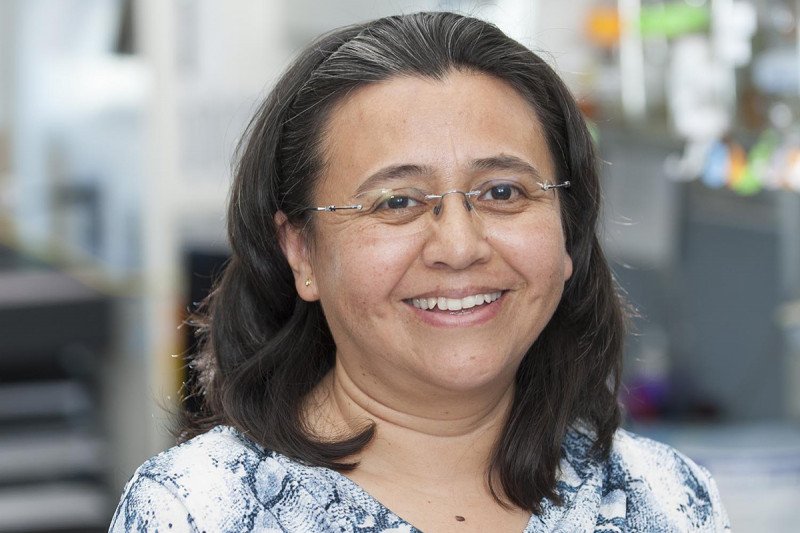 Claudia Canasto, Sr. Research Technician & Lab Manager