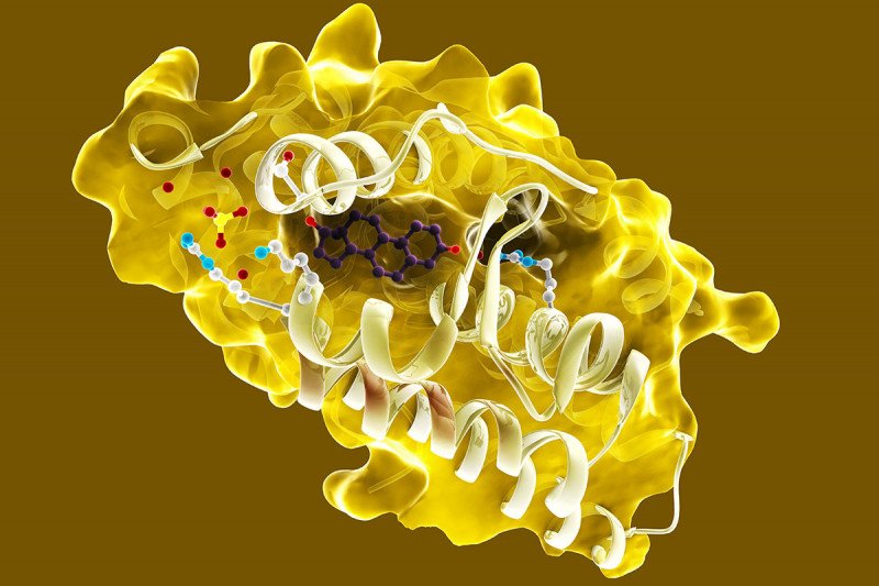 A yellow molecular model of the androgen receptor on brown background
