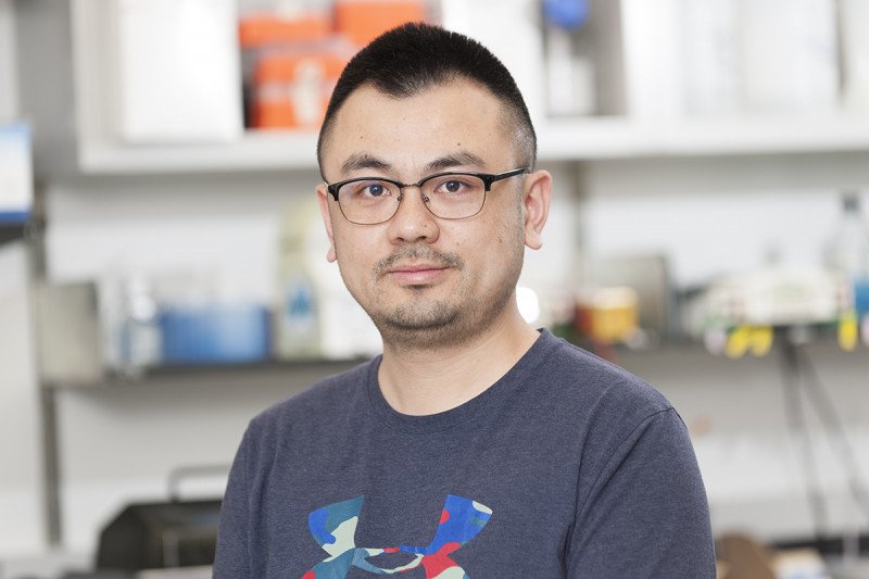 Guoqing Chen, PhD