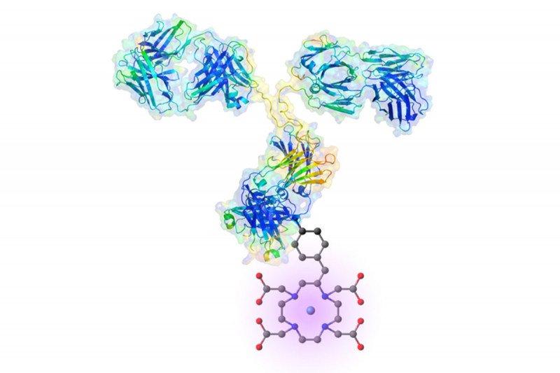 Graphic of antibody binding to a protein