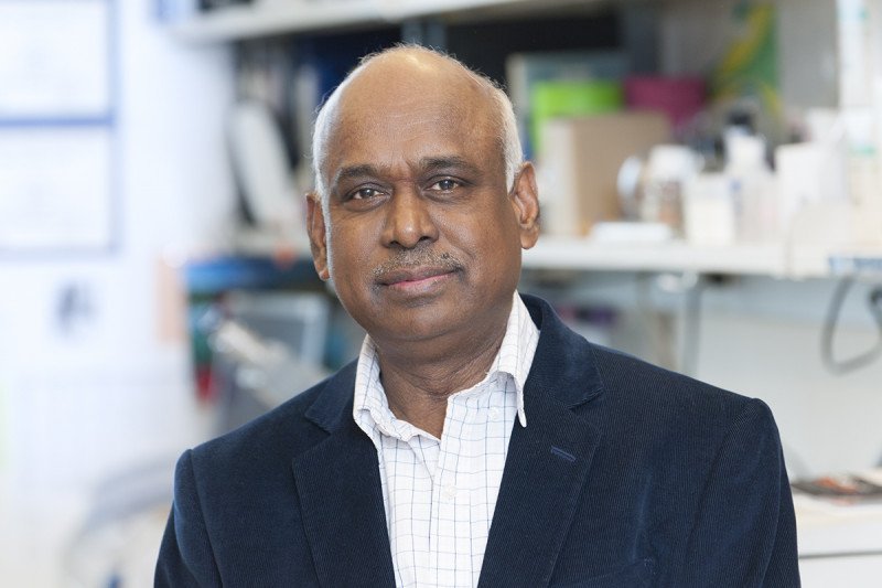 Annamalai Selvakumar, PhD