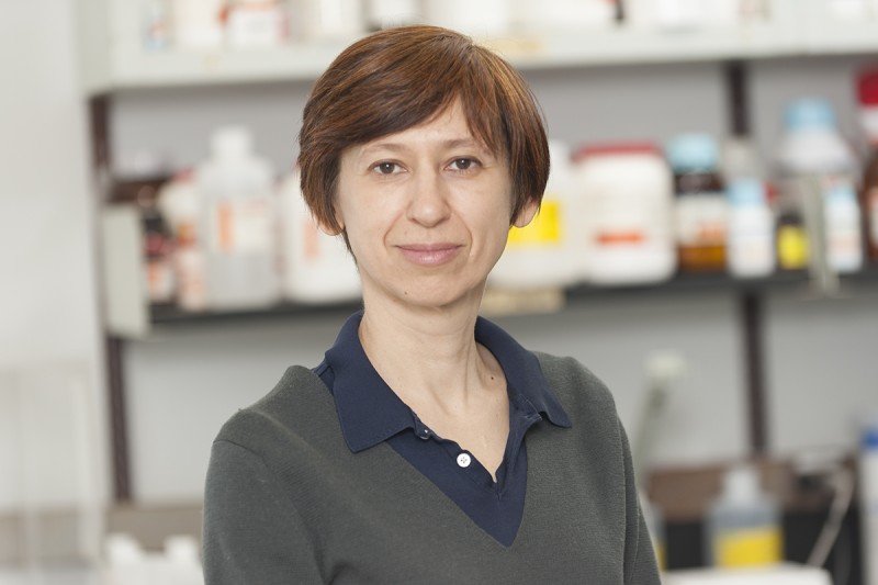 Elena Goldberg, PhD