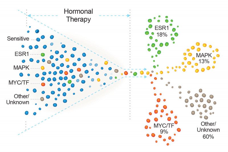 Colored dots (cells) separating through a funnel-like structure.