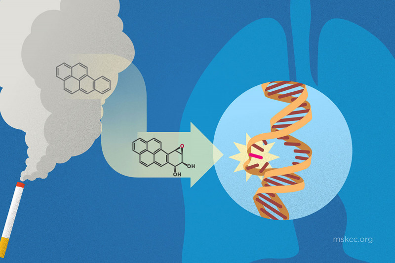 an illustration of a cigarette burning and smoke entering lungs