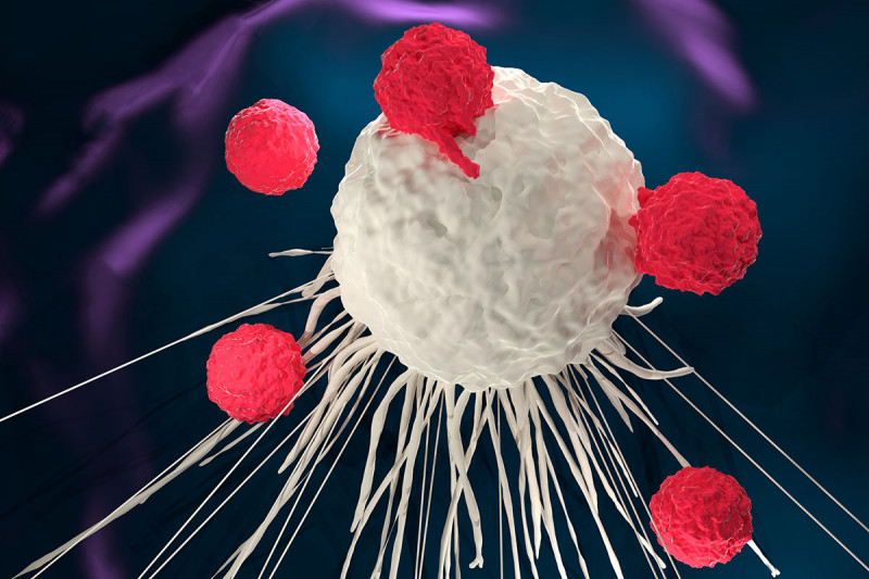 Immune cells surrounding a cancer cell