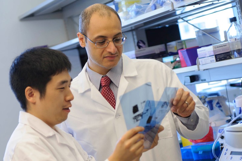 MSK physician-scientist Omar Abdel-Wahab researches new treatments for histiocytosis.