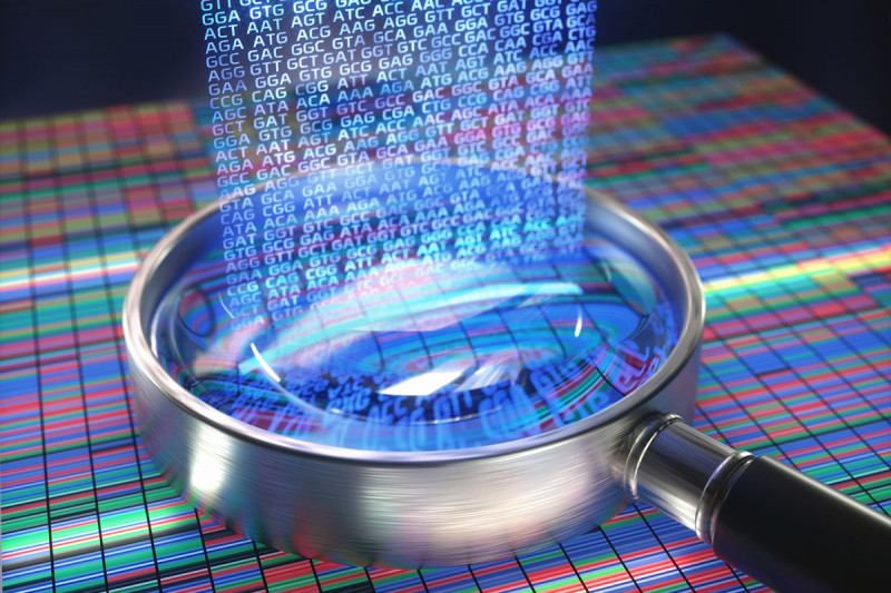 Illustration of a magnifying glass and DNA sequences