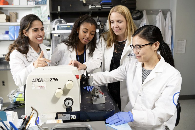 Investigators Lea Moukarzel, Kimberly Dessources, Britta Weigelt, and Sarah Kim in the lab.