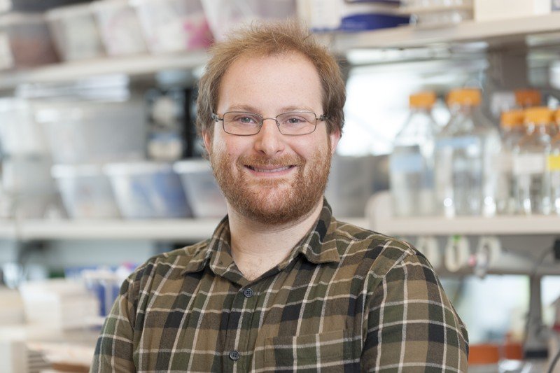 Michael Langberg, PhD