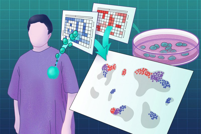 Metabolic drivers of immune heterogeneity