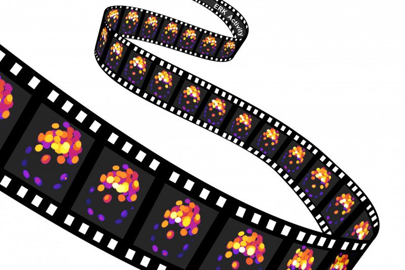Feature Presentation: 3D Movies of Cell Signaling in Early Development from  the Hadjantonakis Lab