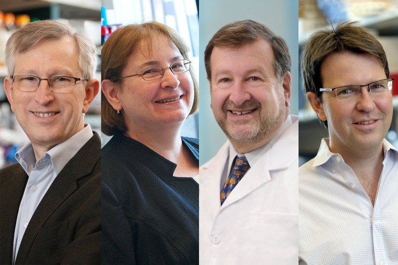 Joan Massagué, PhD; Maria Jasin, PhD; David A. Scheinberg, MD, PhD; and Hans-Guido Wendel, MD.