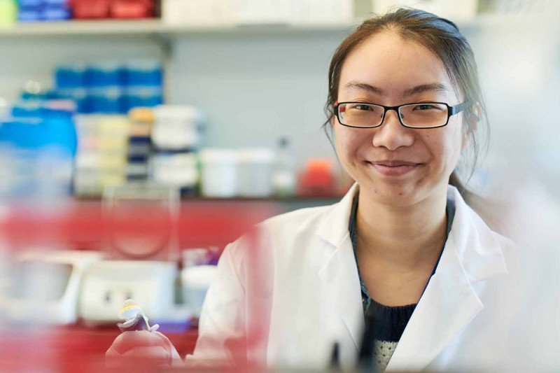 GSK by the Numbers Memorial Sloan Kettering Cancer Center