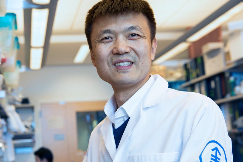 MSK immunologist Ming Li