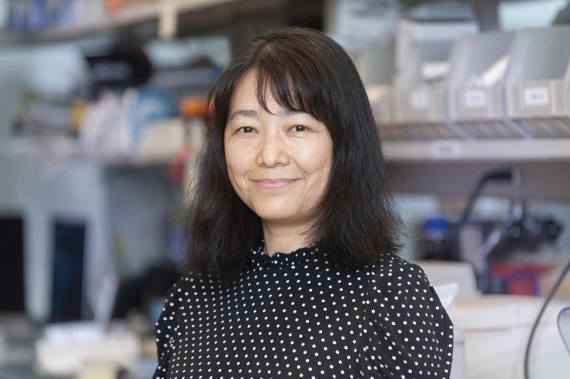 Wenfei Kang, PhD