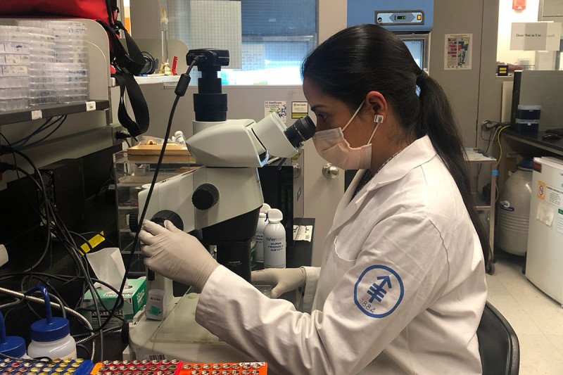 Ana looking through a microscope