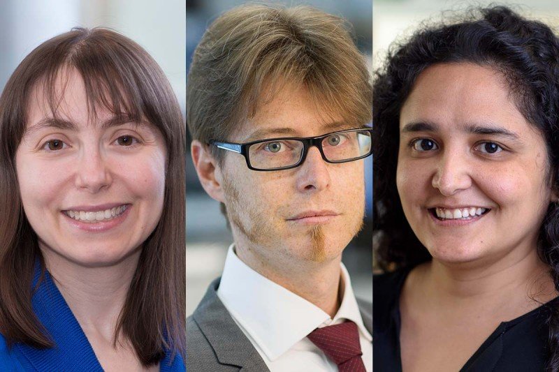 Separate headshots of three researchers — Diana Mandelker, Jorge Reis-Filho, and Fresia Pareja.
