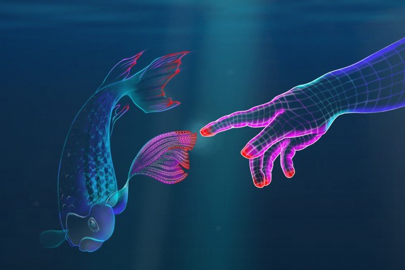 An illustration of a fish fin touching a human finger