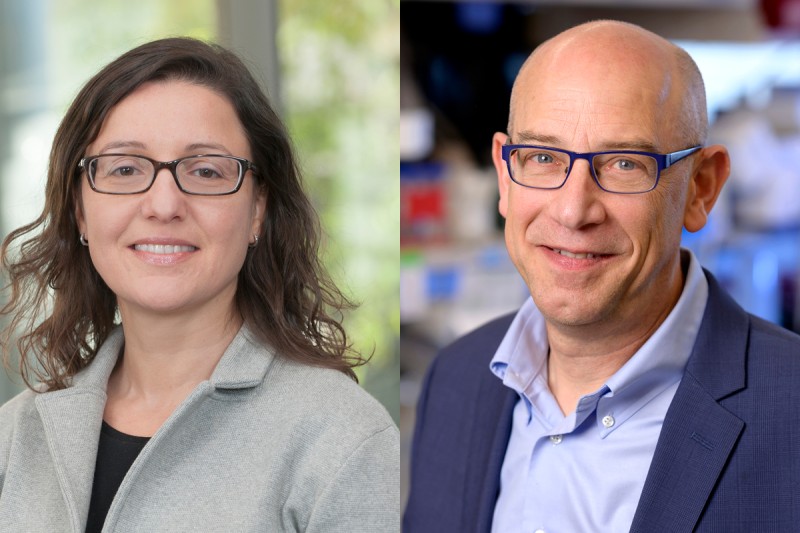 MSK pathologist Natasha Rekhtman and physician-scientist Charles Rudin