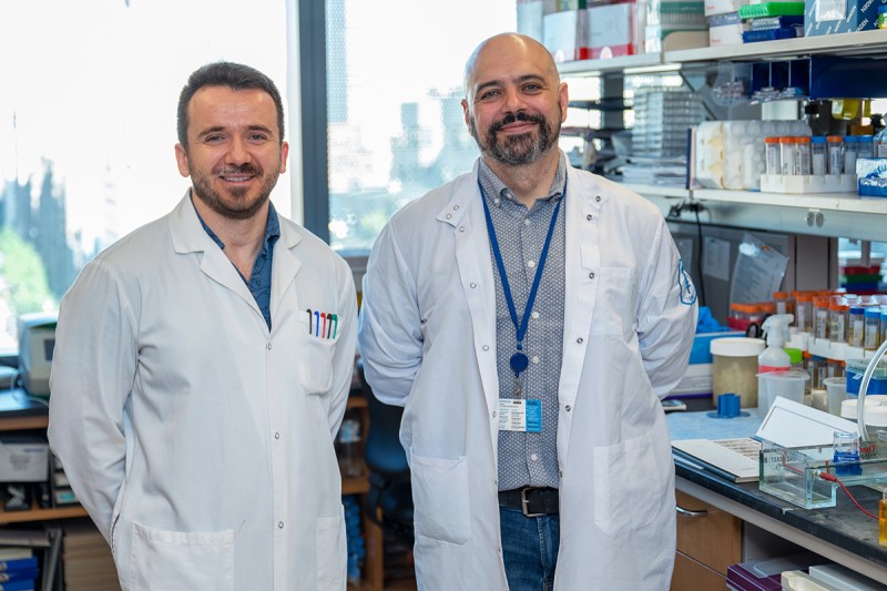 Postdocs Francisco “Pancho” Barriga and Kaloyan Tsanov in the lab