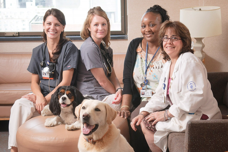 The canines take a break with registered nurses Melanie Bushnell and Claire Carmody, unit assistant Michelle Smith, and dietitian Jayne Wiprovnick.