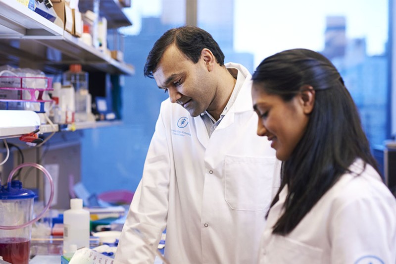 physician-scientist Sarat Chandarlapaty, MD, PhD and colleague working in their MSK laboratory. 