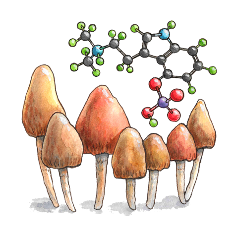 Psilocybin