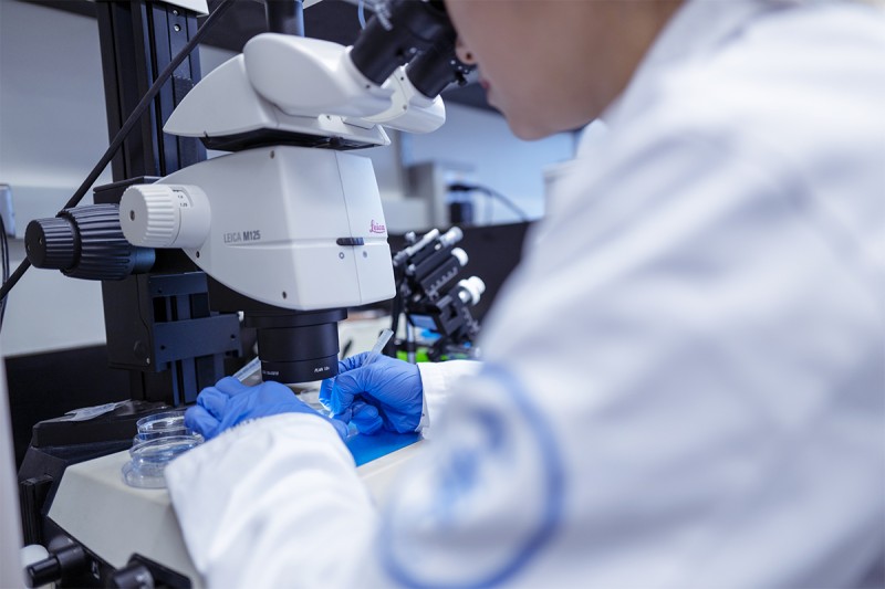 An MSK scientist peers through a microscope