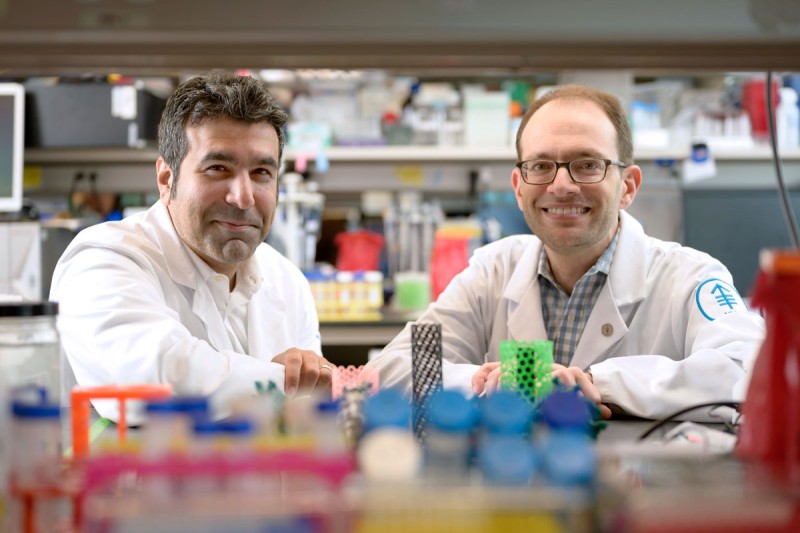 MSK researchers Kayvan Keshari, PhD, and Daniel Heller, PhD