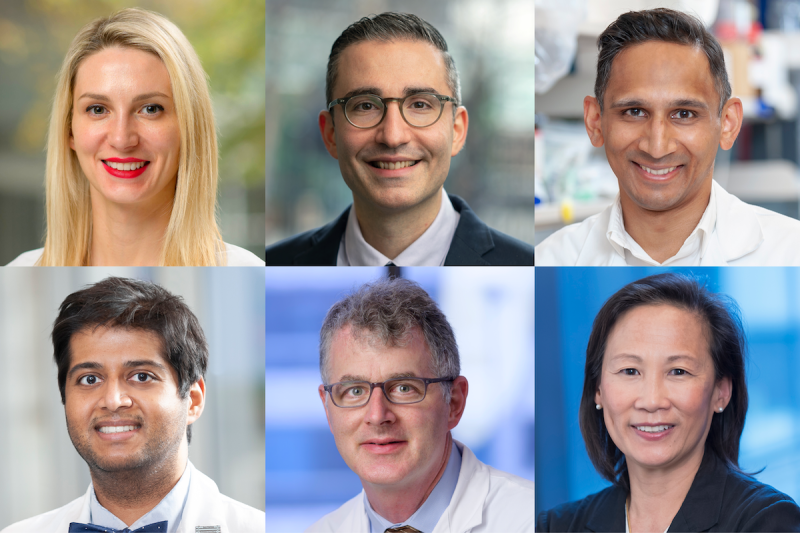 Drs. Alina Markova, Michael Scordo, Vinod Balachandran, Katharine Hsu, Tobias Hohl, and Sandeep Raj