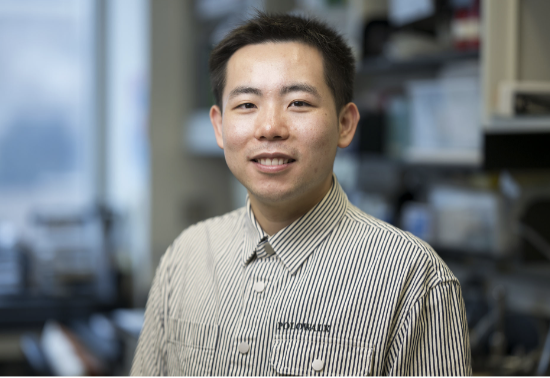 Xiaodong (Sheldon) Zou headshot