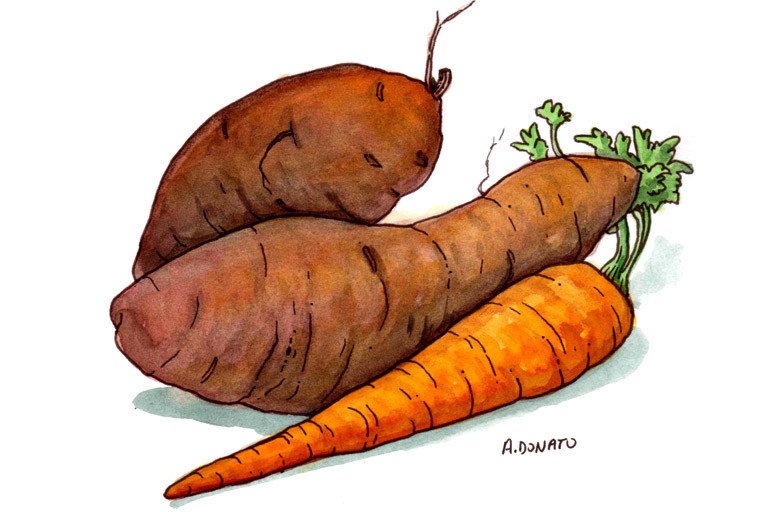 Beta-Carotene