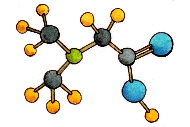 Dimethylglycine