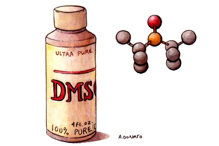 Dimethylsulfoxide