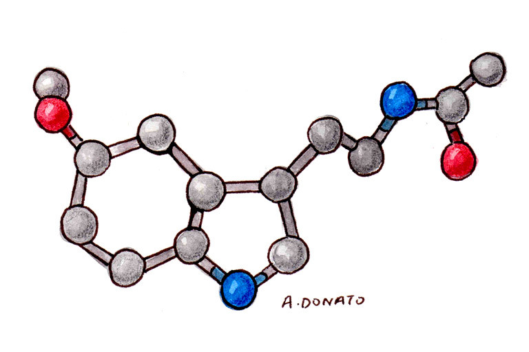 Melatonin