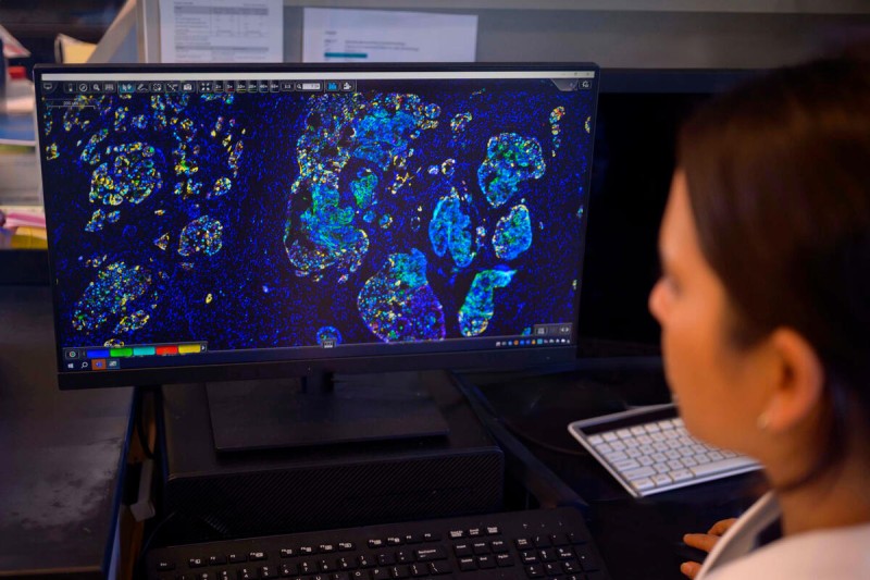 A researcher working in an MSK lab