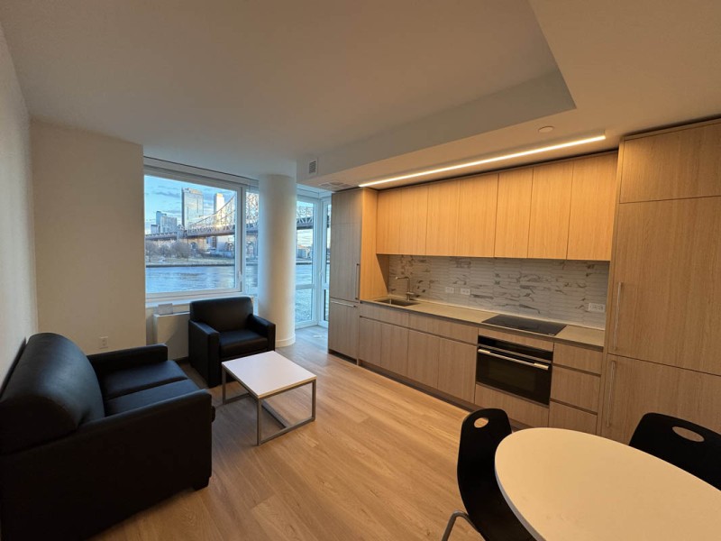 Sample of Student Housing Kitchen & Common Area